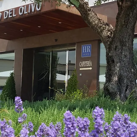 Pago Del Olivo