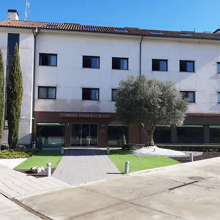 Hotel Pago Del Olivo Simancas