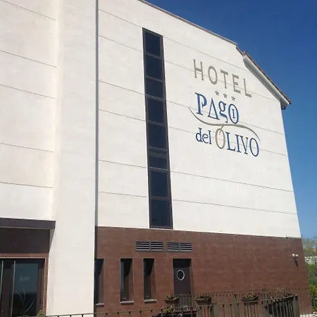 Pago Del Olivo Simancas