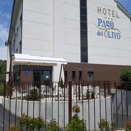 Pago Del Olivo 3* Simancas