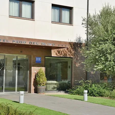 Pago Del Olivo シマンカス