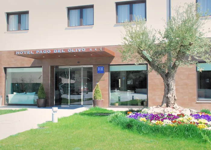 Hotel Pago Del Olivo Simancas