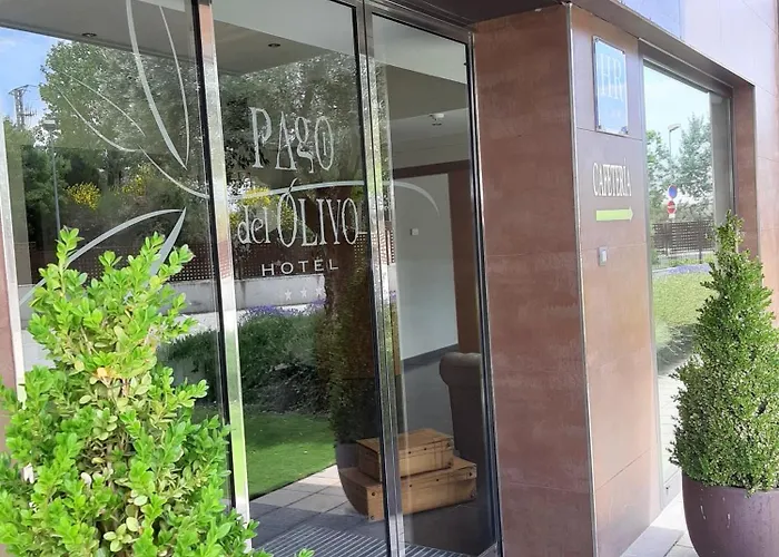 酒店 帕格奥利沃酒店