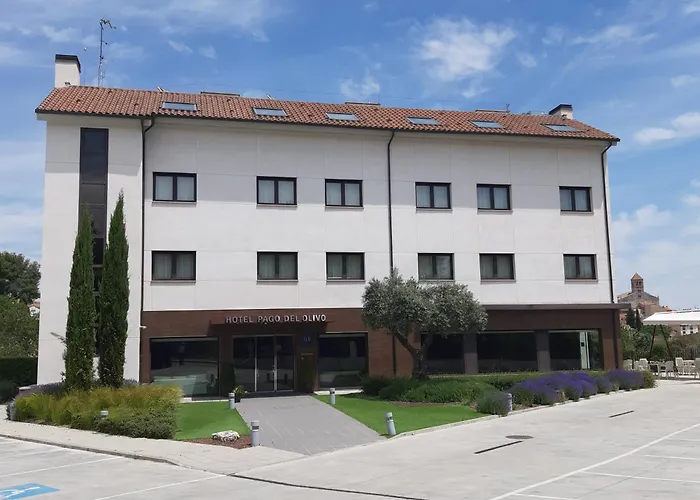 Pago Del Olivo 3*