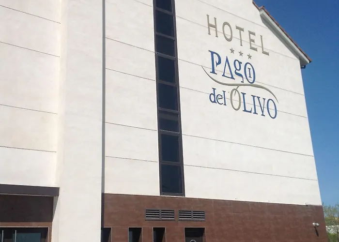 Pago Del Olivo Simancas