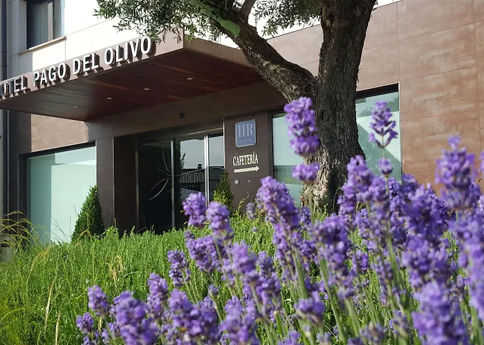 Pago Del Olivo