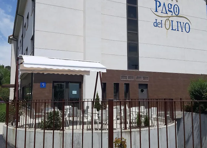 Pago Del Olivo 3* Simancas